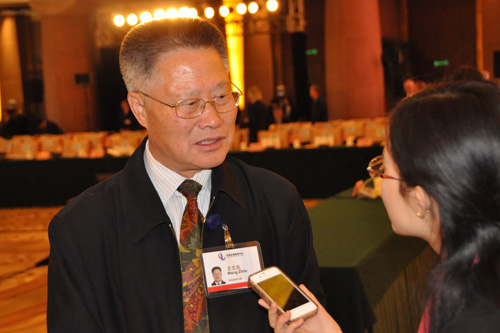 人民网记者专访王志乐