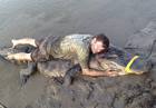 美民眾捕330公斤鱷魚