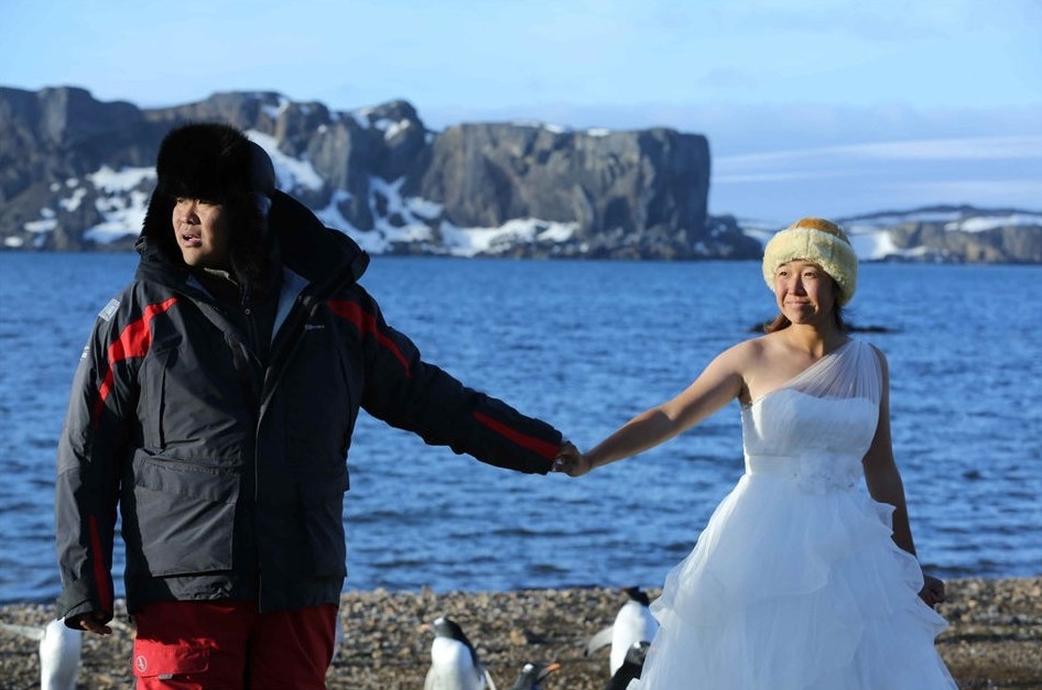 中国情侣北极求婚南极结婚合照曝光(组图)