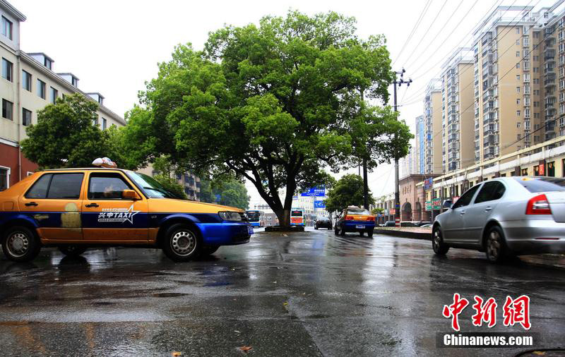 2014��3��27�գ���ɳ������ȥ����·�����빫��վ̨����һ��������������·�м䣬�������٩�ơ���ţ�����������������������˵�����������Ƕ���������ţ����������������·�м䲢û��Ӱ�����������ͨ�У���������һ�����صķ羰��