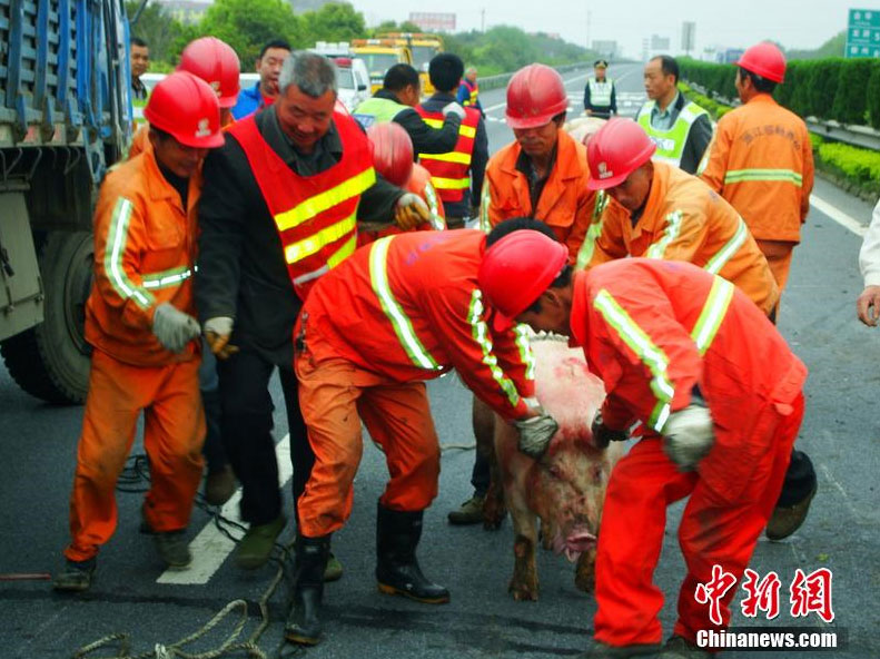 20144110ʱ28֣Ϫͽ֮һ41ͷͲդʽҺַը̥¹ʡ˽ǡڸϴٽִ֧񾯵һʱǰֳá¹ʷ󣬸ٽԵ·ʵ˷մʩ֪ͨʩԱֳʩȡӺһ·ʩĳ˵ءһæץƵƣ׷׷ϵĸϡ˵ĺӪ£ʱ1Сʱڽʦ֡˳¹ʵʧͣٹ·ָܿͨС