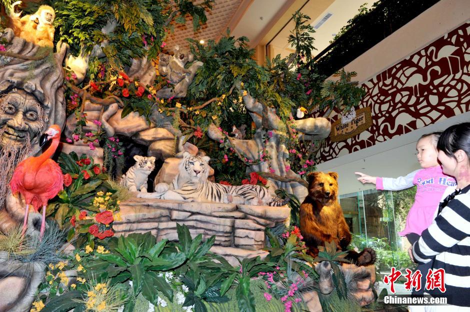 4月27日,由美国顶尖技术团队为广州长隆酒店白虎自助餐厅重磅打造的、中国首创在主题餐厅内滚动上演的森林童话动雕剧院——白虎自助餐厅动雕剧场,拉开其神秘帷幕。其引人入胜的童话剧场,以及逼真、生动、会说话的动雕,足以让餐厅里的大小朋友惊喜不断。