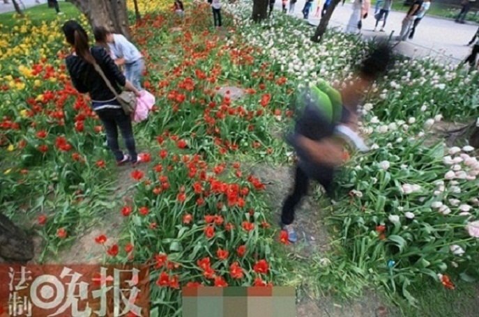 ���������㻨չ �ο����ȴ�ժ����ͼ����9��