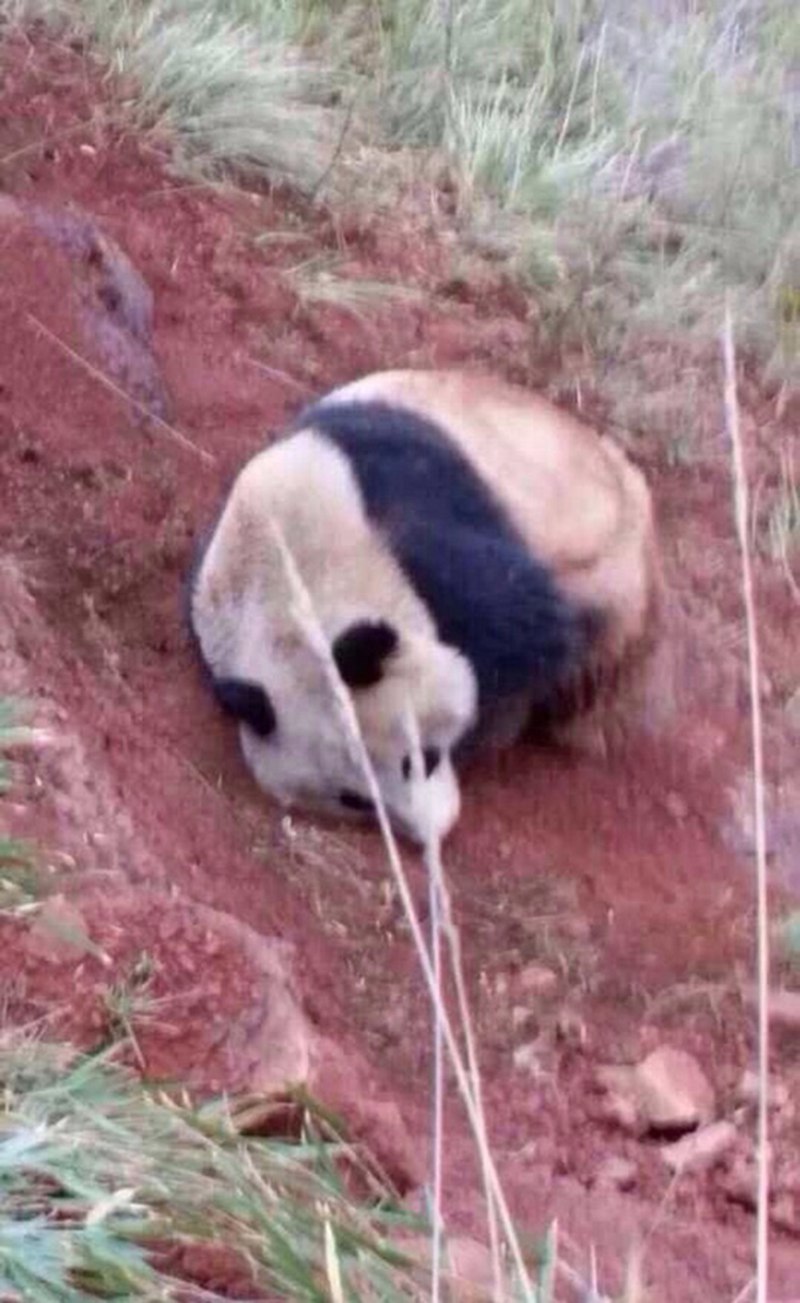 ĴѾҰè ɡ򡱣ͼ4