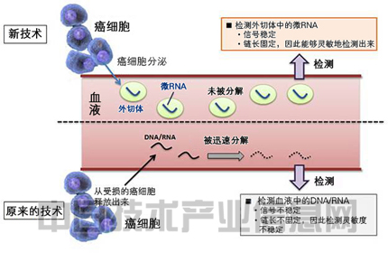 日本将开发一次采血可检查十余种癌症的新技术
