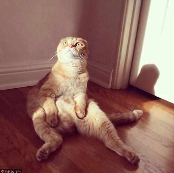 ��ͼ������������������̬�ں����硾7��