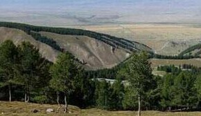 記者手記：不知名的巴裡坤