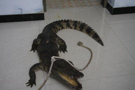 ͼΪʱӵ㣨Ϊȫʱӽס