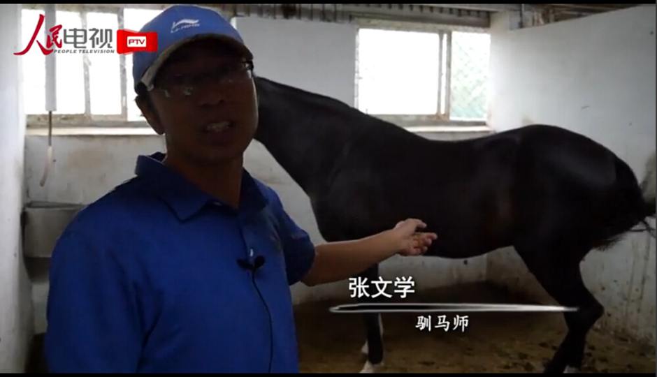 探秘土庫曼斯坦送給中國的“國禮”汗血寶馬
