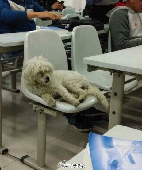 ��ͼ����У��ѧ�Թ���������������2��