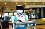 美女機器人現身餐廳