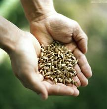 �������������������������        ժҪժҪժҪժҪժҪժҪժҪժҪժҪҪժҪժҪ