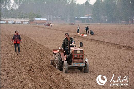在河南省蘭考縣，當地農民正在進行農業耕種。（資料圖片 人民網記者 李彤 攝）