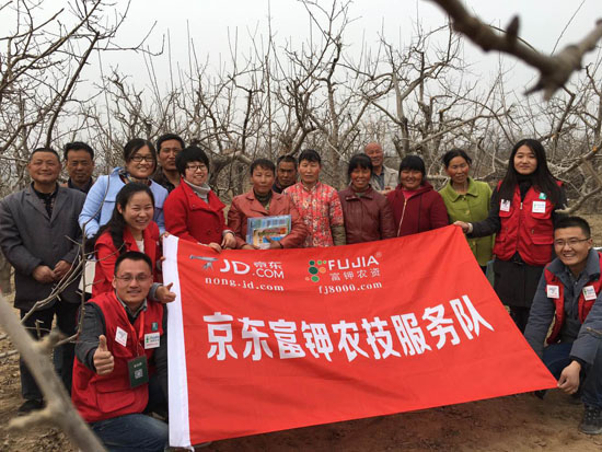 共育致富果:京东富钾农技服务队扎根陕西扶贫
