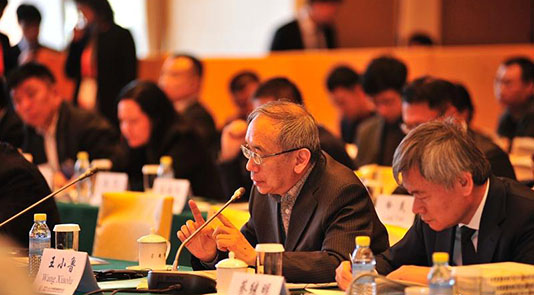 中國發展高層論壇·學術峰會召開 中外政學界代表談改革論發展