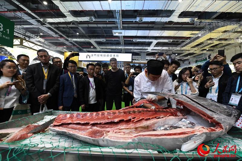 一條淨重255公斤的藍鰭金槍魚被現場分解，吸引眾多觀眾圍觀拍照。