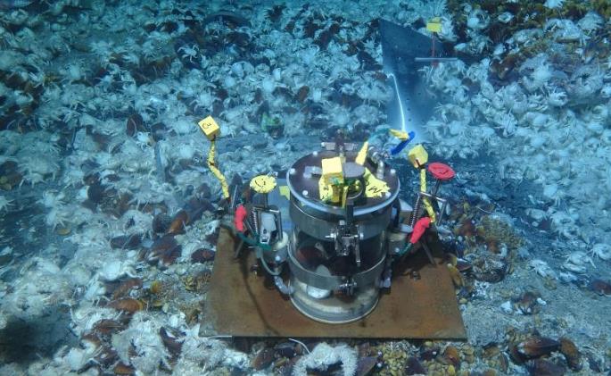 ����ѧ���ſƿ���Բ����ɡ��ں�����ʵ�顱����