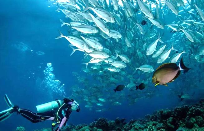 �й������գ�һͼ�˽⺣�󾭼�Ϊ���Ǵ�������Щ��������