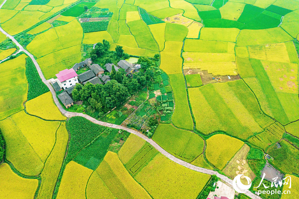 ����ʡ�����н�ɫ��Ұӳ���µĴ�������һ��ɽˮ������Сƽ��