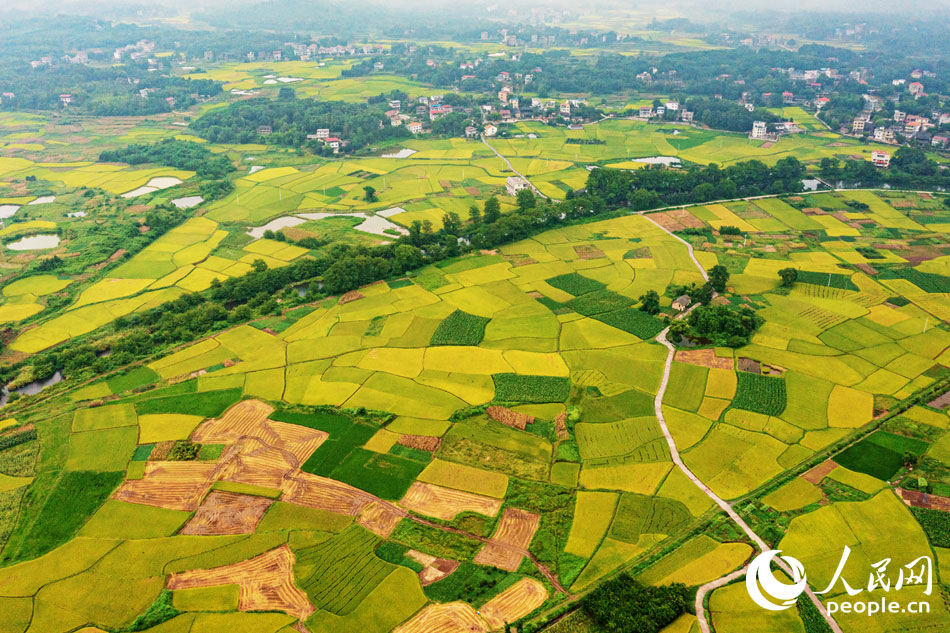 ����ʡ�����н�ɫ��Ұӳ���µĴ�������ɽˮ������Сƽ��