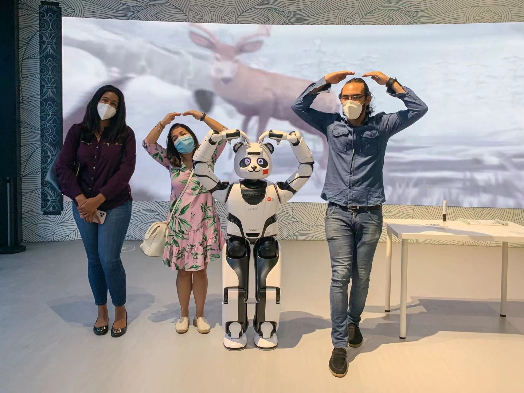 迪拜世博会开幕熊猫机器人亮相讲述中国高科技成果