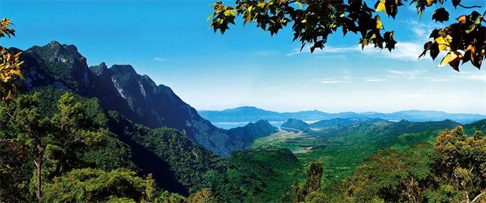 海南熱帶雨林國家公園。國家林業和草原局供圖