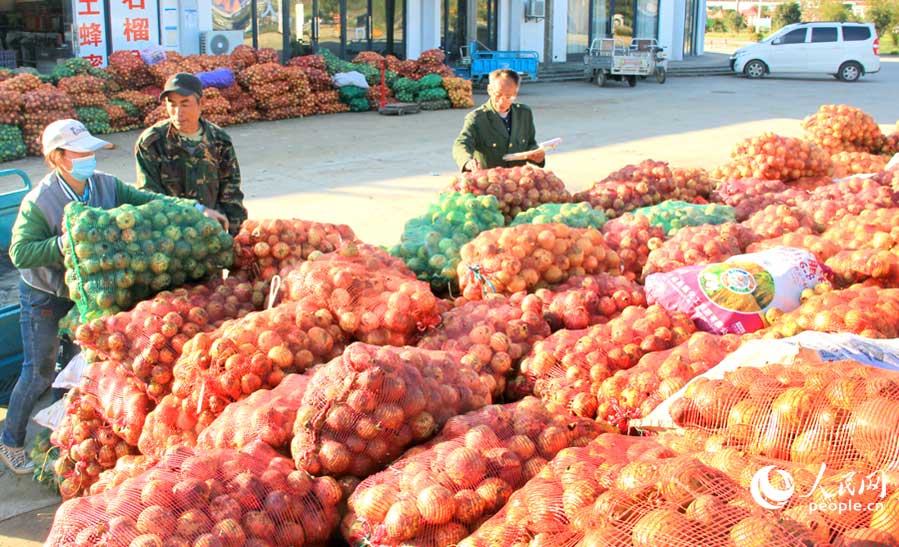 10��17�գ�����ʡ��������ɽ����ɽ����԰��ʯ�����г���һƬæµ���չ�������ӹ�������ҵ�����չ���ũ������ʯ���ܷ�����