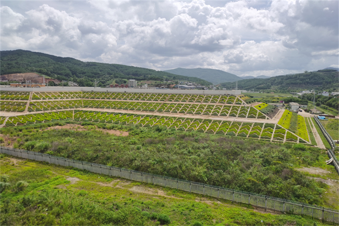 ������·�̻���վ·�����ܷ��߹�ͼ