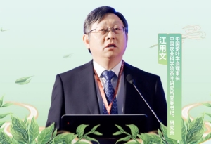 中國茶葉學會理事長、中國農業科學院茶葉研究所黨委書記江用文