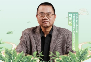 安化縣茶業協會會長、湖南省白沙溪茶廠股份有限公司總經理劉新安