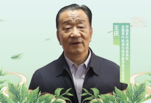 中國茶葉流通協會會長、全國茶葉標准化技術委員會主任委員王慶