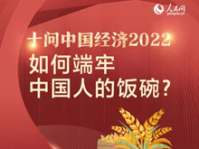 十問中國經濟2022：如何端牢中國人的飯碗？