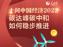 十問中國經濟2022：碳達峰碳中和如何穩步推進？