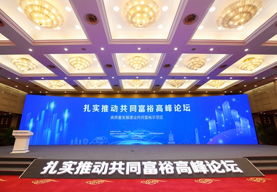 扎實推動共同富裕高峰論壇在杭州舉行
