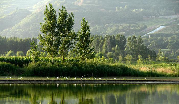 陕西渭河湿地。国家林业和草原局供图