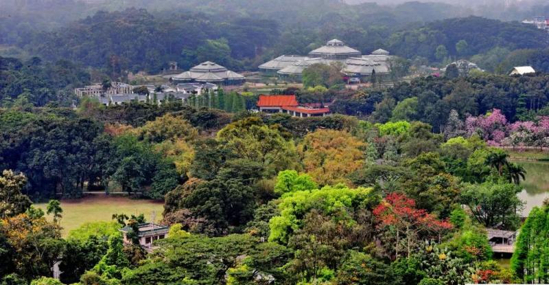 城市綠洲（華南國家植物園供圖）