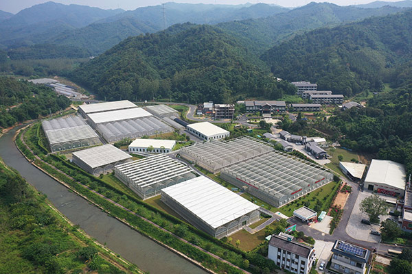 连樟村现代农业产业园鸟瞰图。人民网记者 王天乐摄