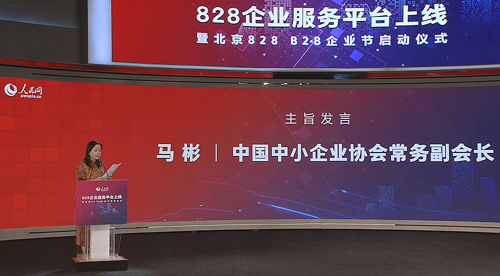 中國中小企業協會常務副會長馬彬作主旨發言