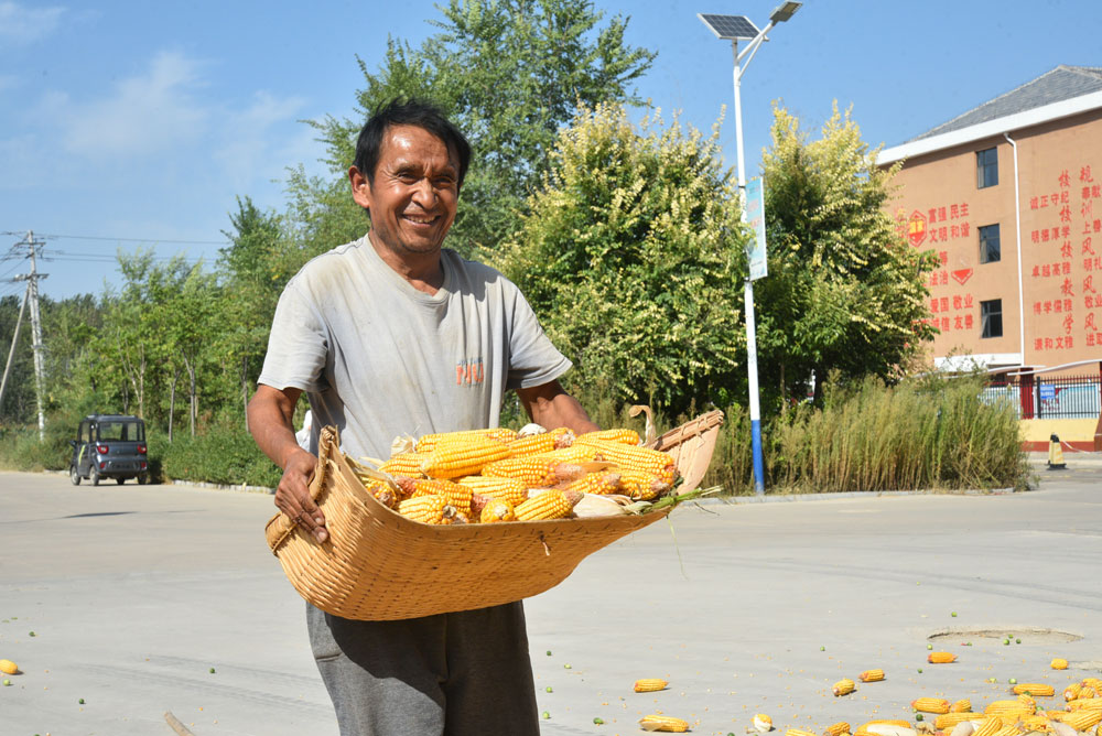 山东省菏泽市鄄城县10.5万亩的高标准农田喜获丰收，农民趁天气晴好晾晒玉米。（房正 摄）