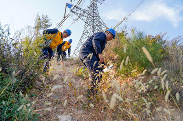 电力员工在山间巡检500千伏源安一线。受访者供图
