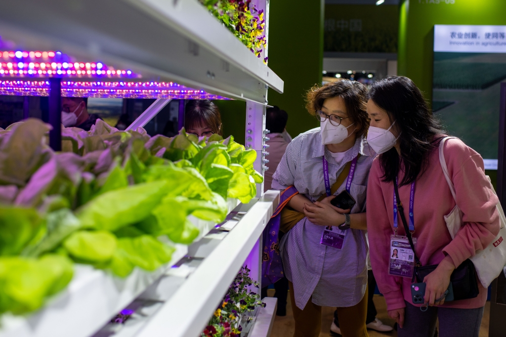 在第五屆進博會食品及農產品展區的光明母港（上海）種業科技有限公司展台，觀眾正在了解智能種子農場。人民網記者 翁奇羽攝