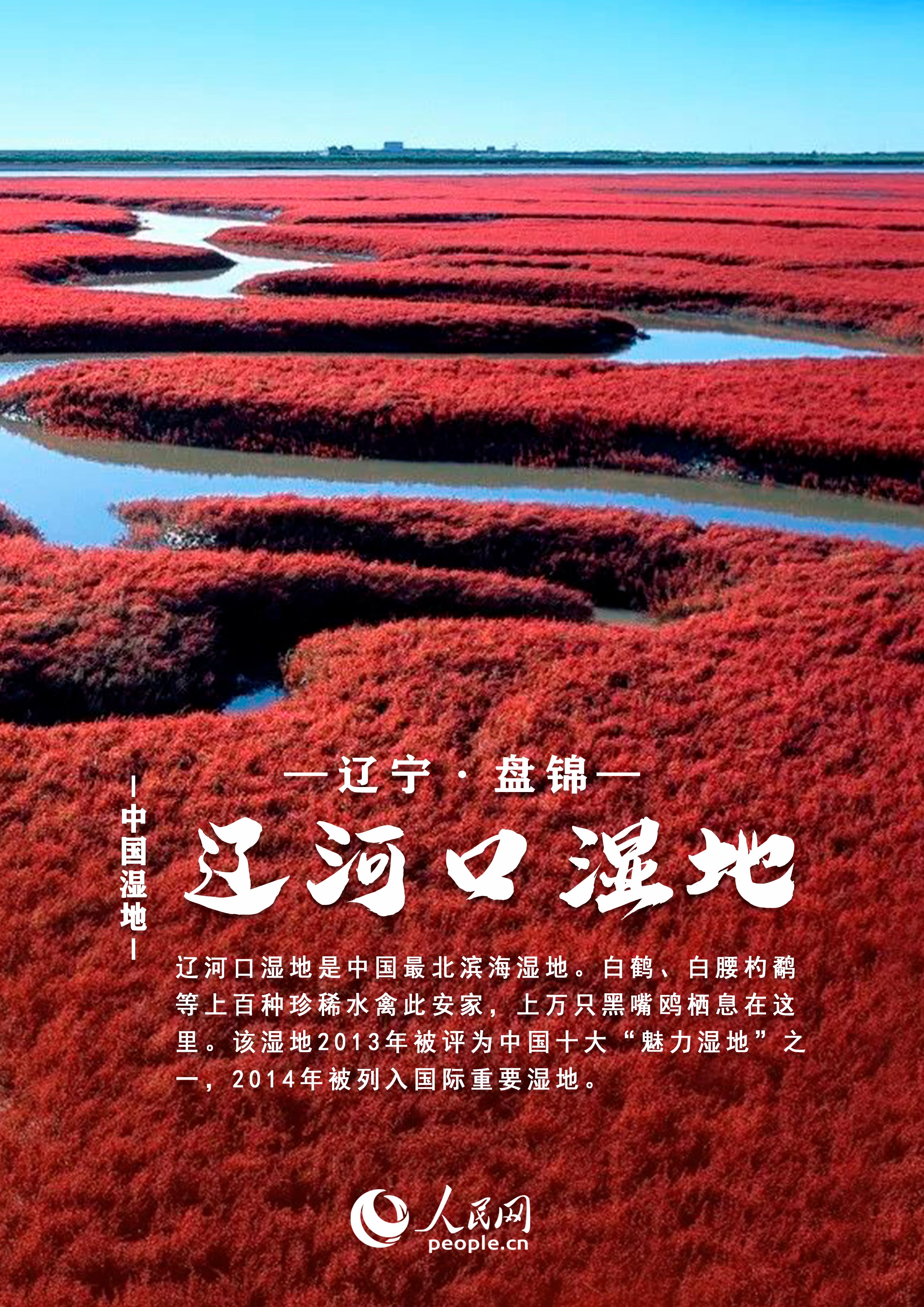 中国湿地大赏丨邀你共赏绝美风光每张都值得收藏！