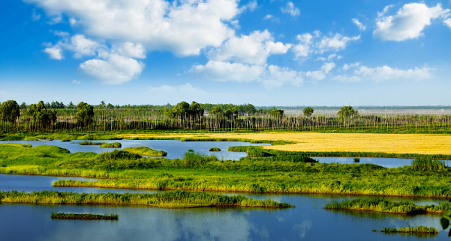 2022年我国新增国际重要湿地18处 生物多样性丰富度提高