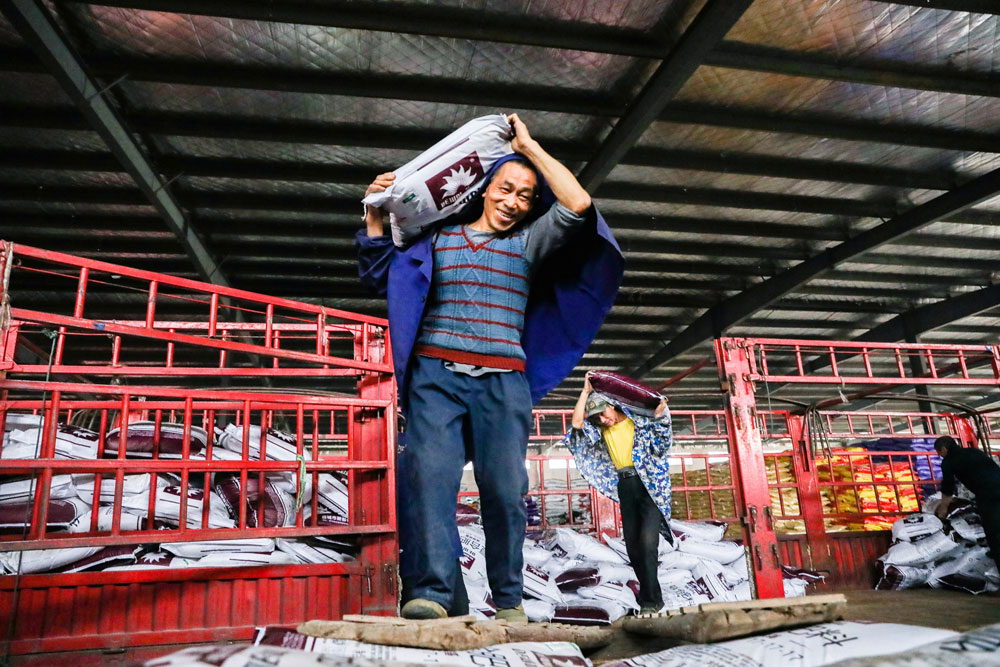 ������ֵ��������ʱ�ڣ�����ʡ�������Ϸ��ص�ũ����ѡ����ũ�ʣ�Ϊ����������׼������Ԭ�� �㣩