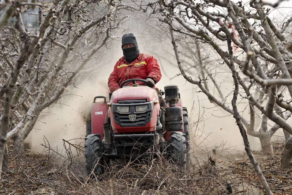 ����������ɽ��ʡ������������Ĺ�ũ����ץũʱ���Թ��������޼�����ˮ���ܻ�����Ķ��԰һƬ��æ���󡣣������� �㣩