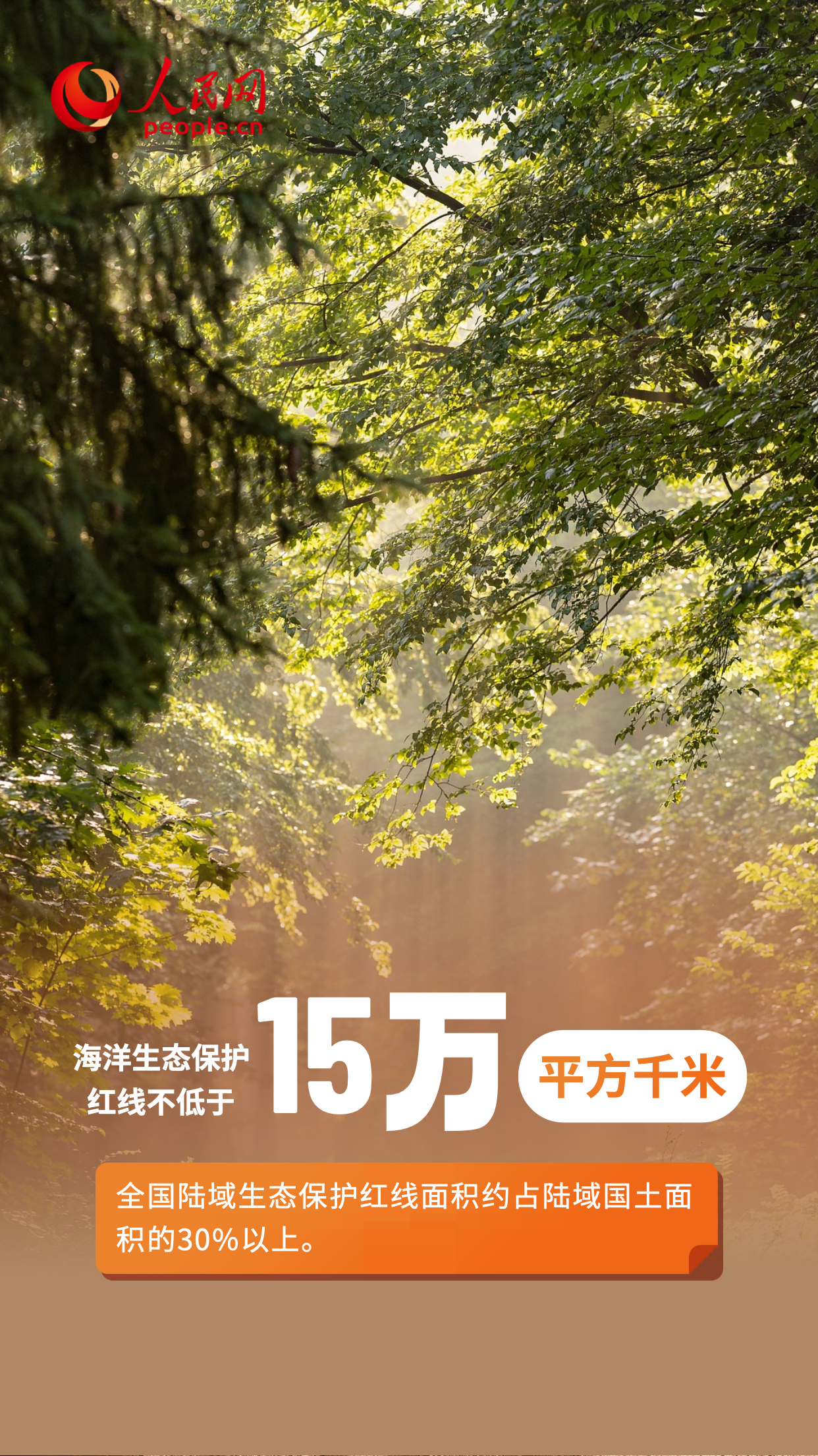 6·5環境日特別策劃|守護藍天碧水淨土 繪就生態環境保護新畫卷【5】