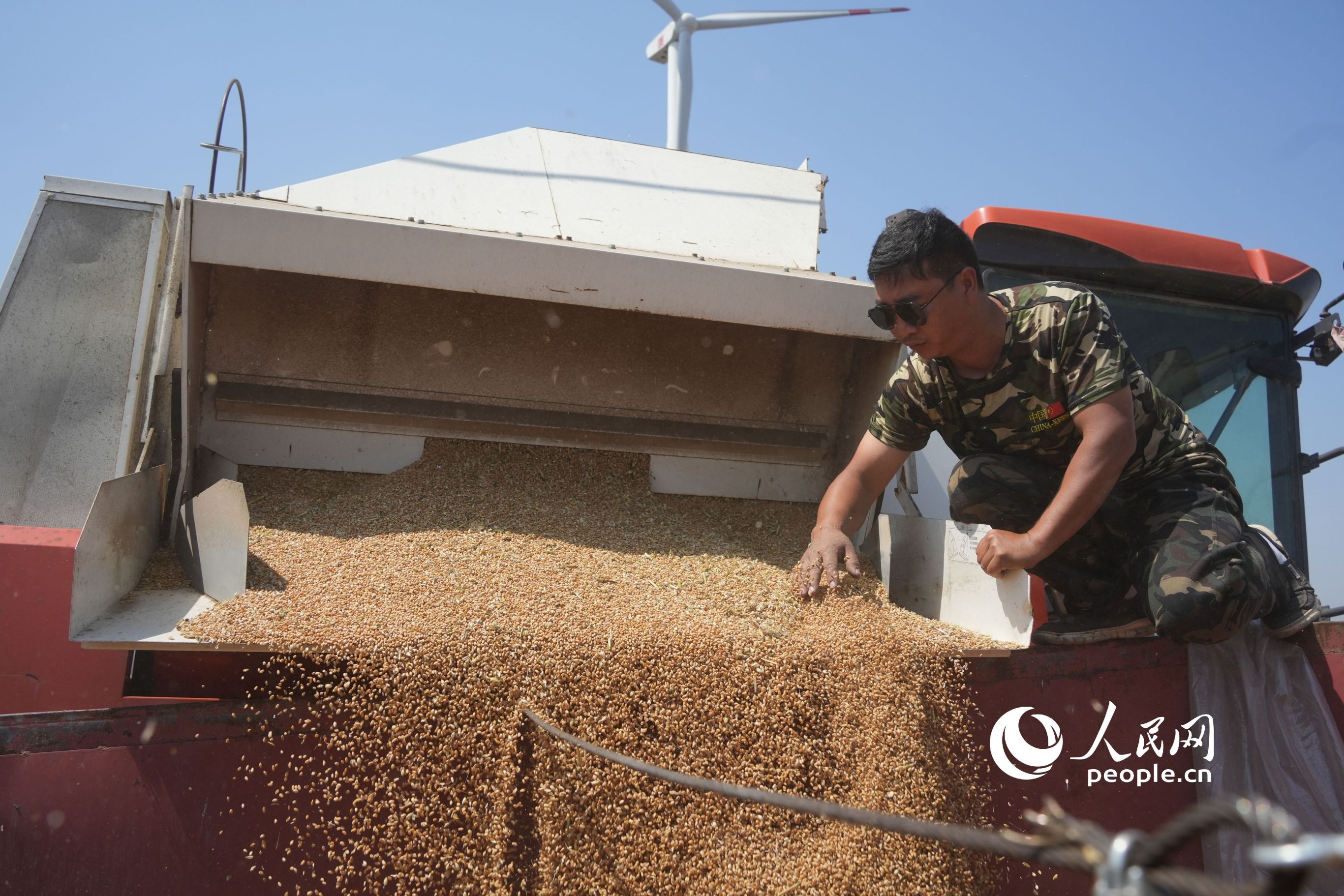 種糧農民整理剛剛收獲的小麥。人民網記者 王天樂攝