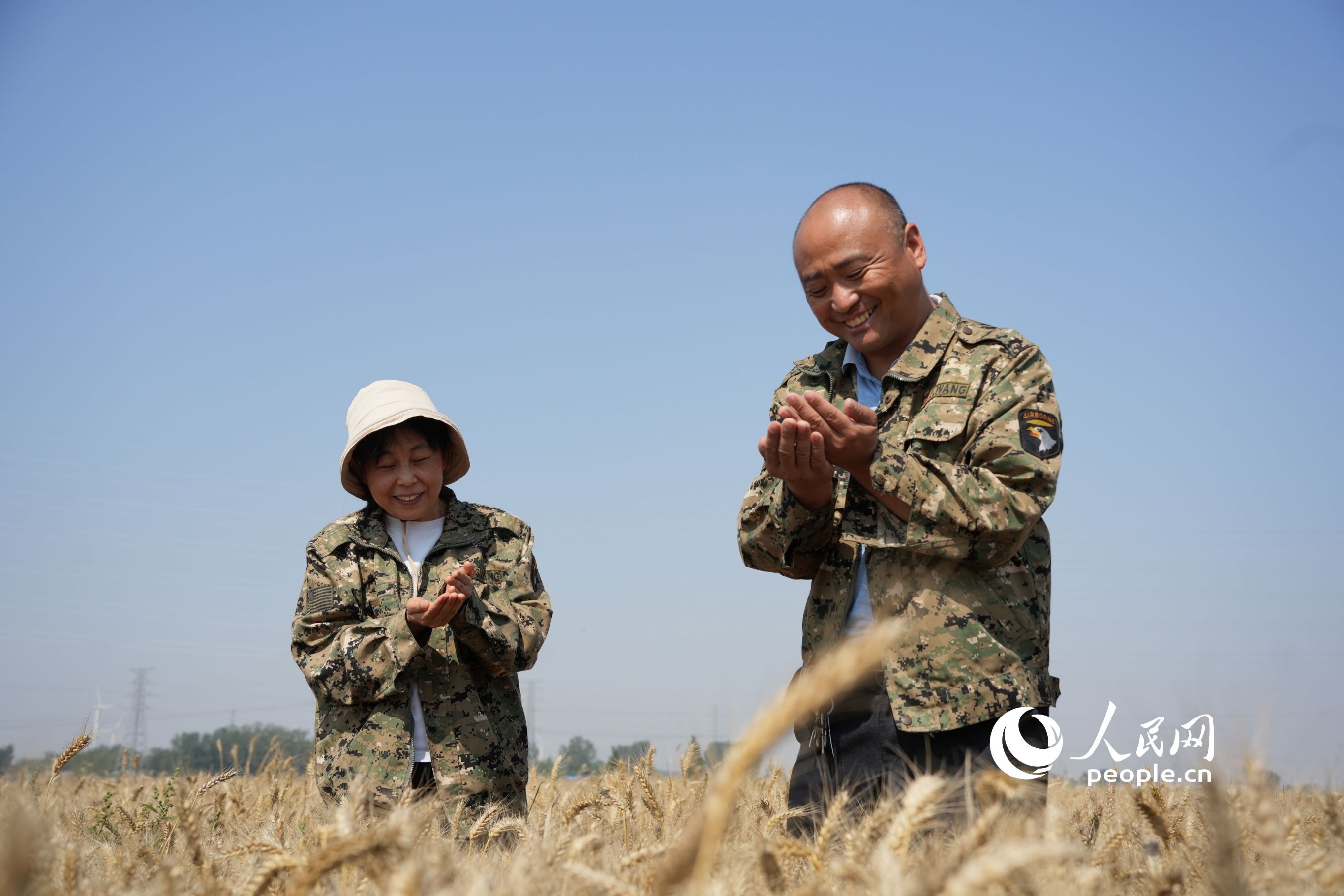麥浪滾滾，滿目金黃，農民查看即將收獲的小麥。人民網記者 王天樂攝