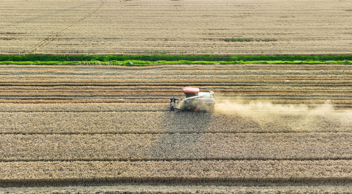 8�գ��ڽ���ʡ�����ص�������ո�����ش��󣬼ӽ��ո�С����������