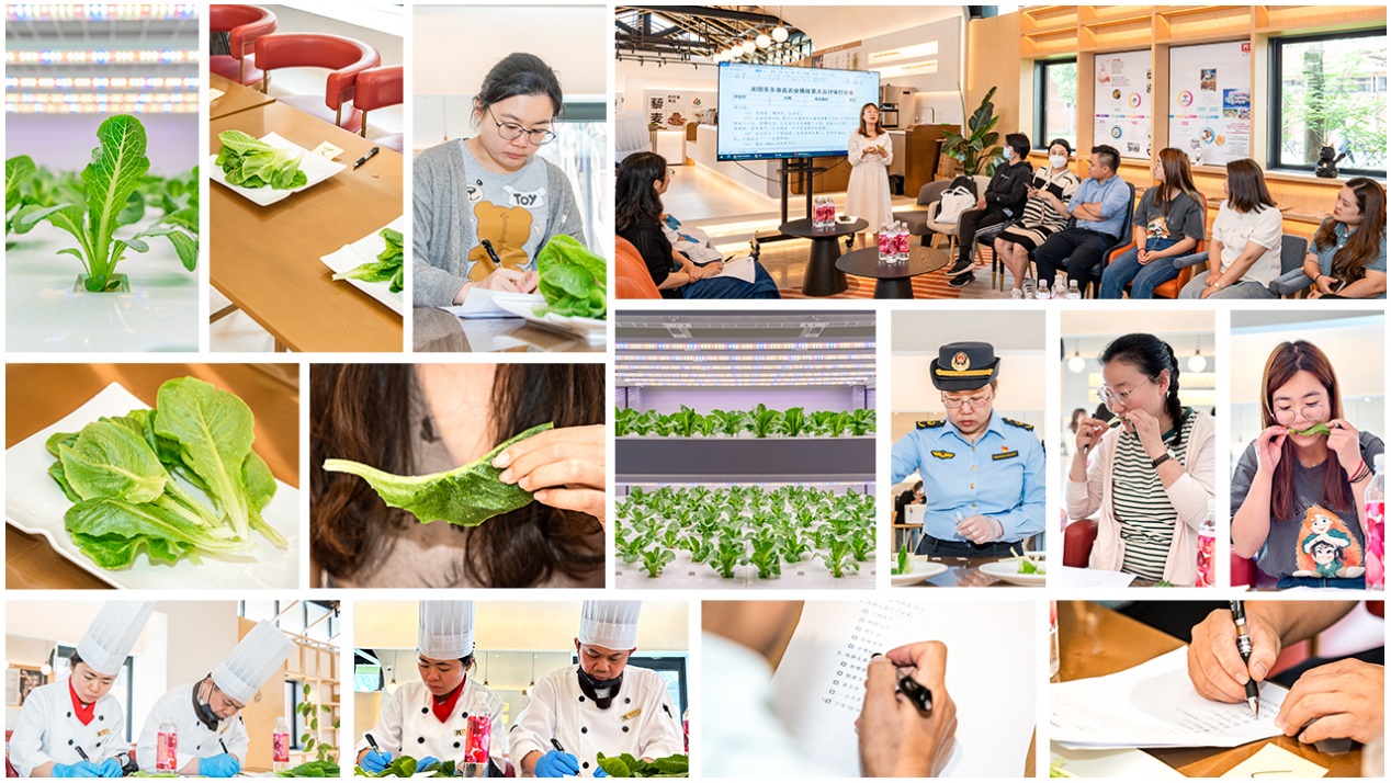15位大众评审对决赛团队种植的“翠恬”生菜进行试吃、打分，上海市长宁区市场监管工作人员进行了现场快检。陈达通摄
